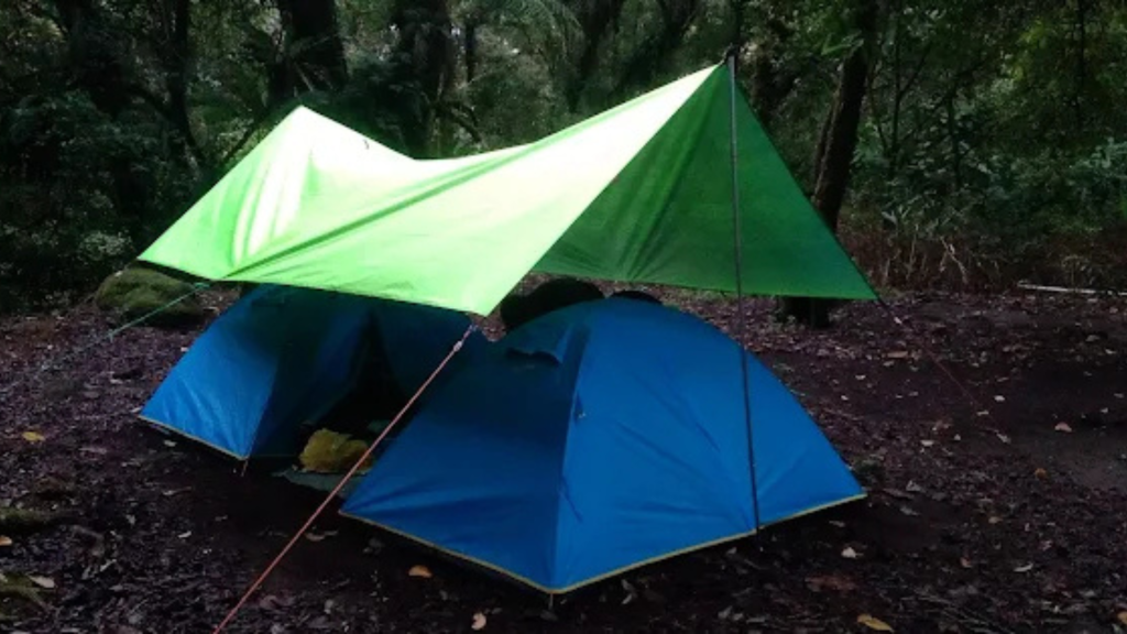 Sarang Rimba